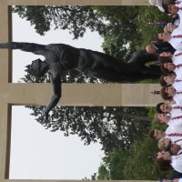photo11